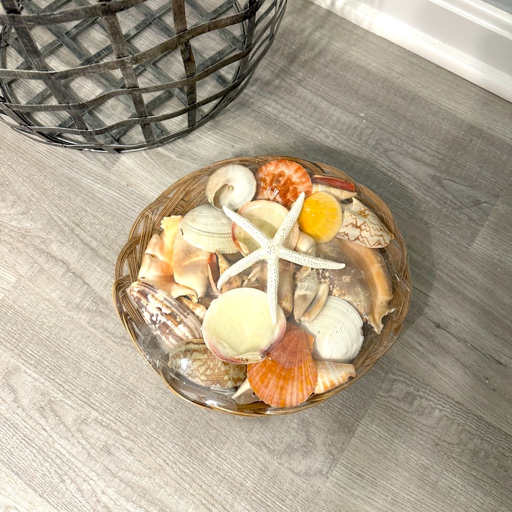 Seashells